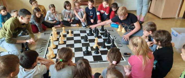 Medvrstniško povezovanje učencev 1., 2. in 8. razreda